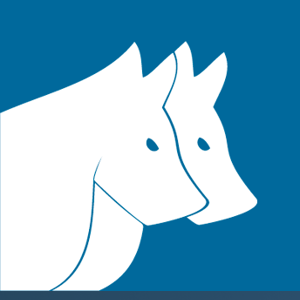 Canes Technologies logo