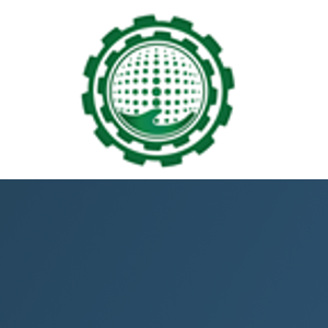 NSM LLC logo