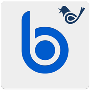 Big Button logo