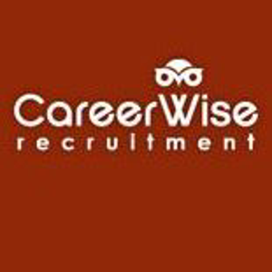 CareerWise Recruitment Dublin logo