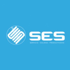 Software Enterprise Services logo
