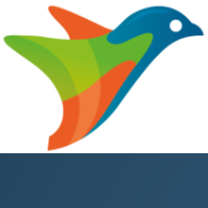 Ciris logo