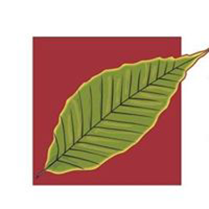 Kaizen Recruitment logo