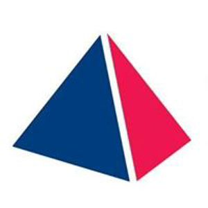 The Panel logo