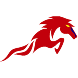 Chima Services Sdn Bhd logo