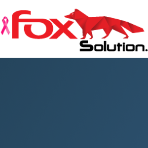 Fox Solutions logo