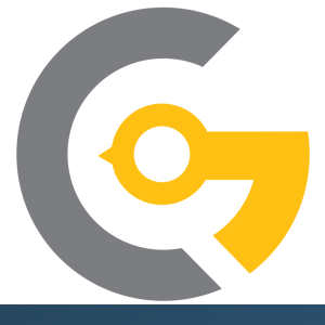 Goldenmace IT Solutions logo