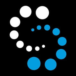 Stone Executive logo