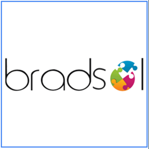 Bradsol logo