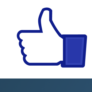 Approved Fans logo