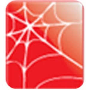RedSpider logo
