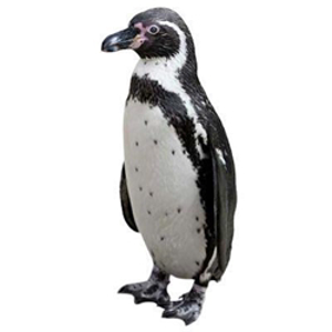 Penguin Recruitment logo