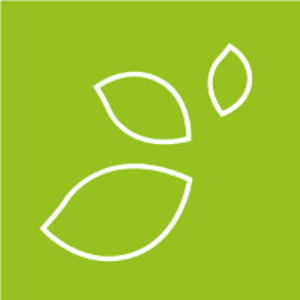 Hayas logo