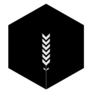 Contversion logo