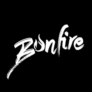 BonFireIT, LTD - Out of Business logo