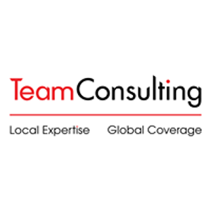 TEaM Consulting logo