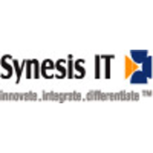 Synesis IT logo