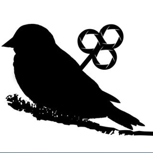 Tin Bird Productions Inc. logo