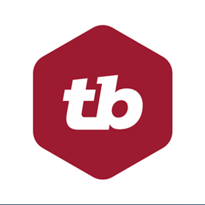 Thinking Big Information Technology Inc. logo
