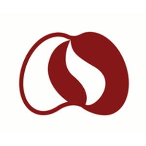 Pitang logo