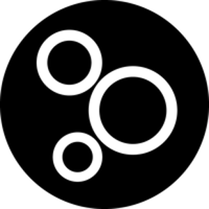 Shoot The Company logo