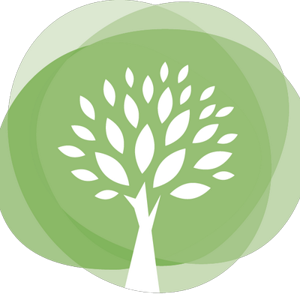 Schmidt Westergard &amp; Company logo