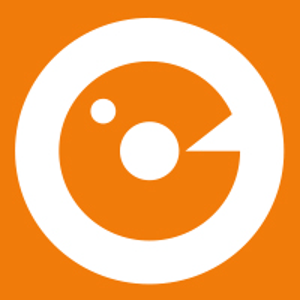 Lens Interactive Studio Pvt Ltd. logo