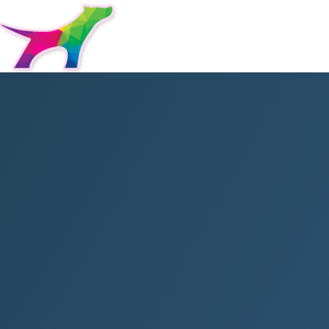 STRAY DOG logo