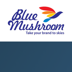 Blue Mushroom Infozone Pvt Ltd logo