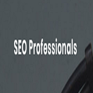 SEO Professionals logo