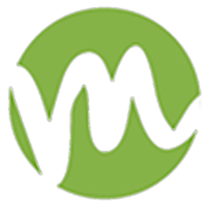 Stokkur Software logo
