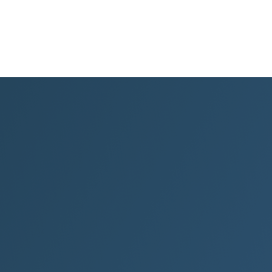 Lexx Digital logo