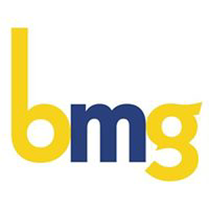 BMG Consulting Inc logo