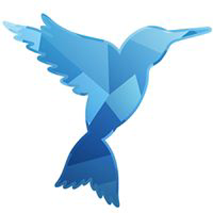 Social Elevation logo