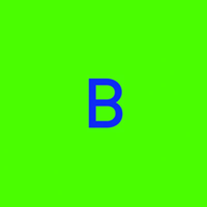 Studio Beau logo