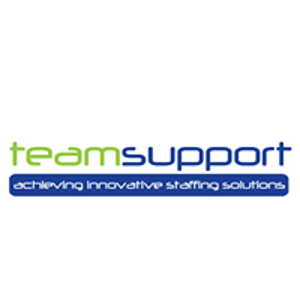 Team Support Midlands logo
