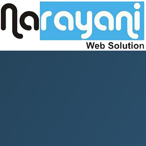 Narayani Web Solution Pvt. Ltd. logo