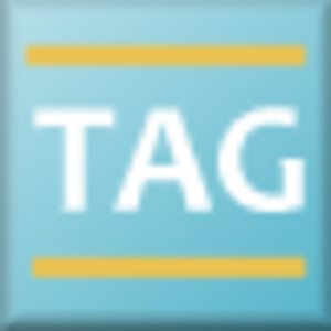 The Analytical Group logo