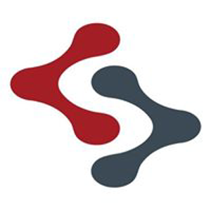Subra Systems Ltd logo