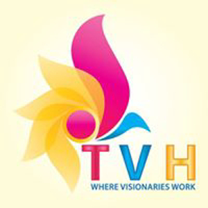 The Visual House logo