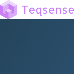 Teqsense logo