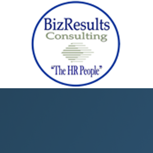 BizResults Consulting logo