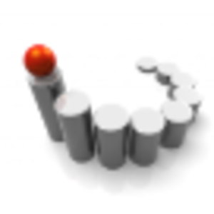 Selin Jenkins Management Consultancy logo