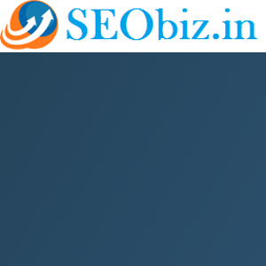SEObiz.in logo