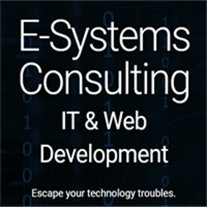 E-Systems Consulting IT &amp; Web Development logo