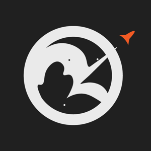RocketFIN logo