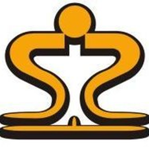 Strictly Staffing Inc. logo