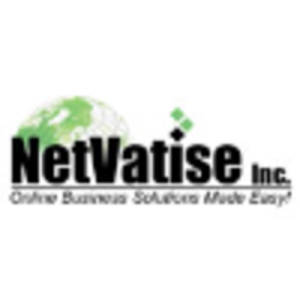 Netvatise logo