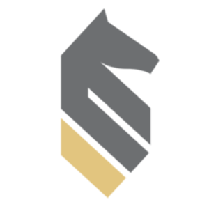 StrategyWise logo