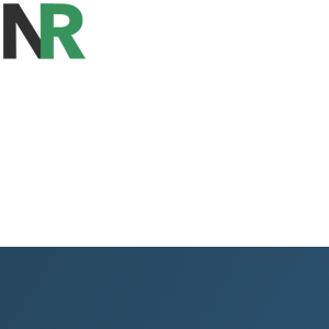 Net Reputation logo